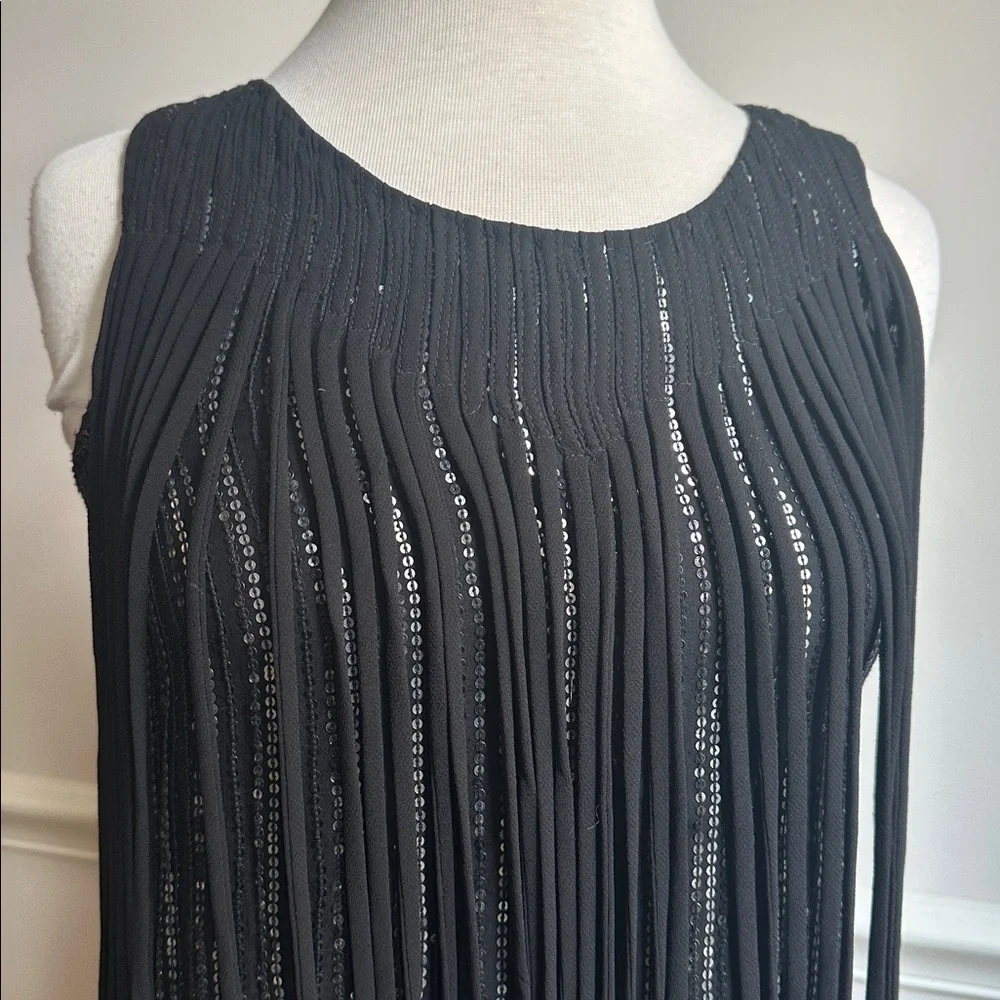Parker Bryant dress fringe trim sequins silk size small black NWT - Picture 4 of 9